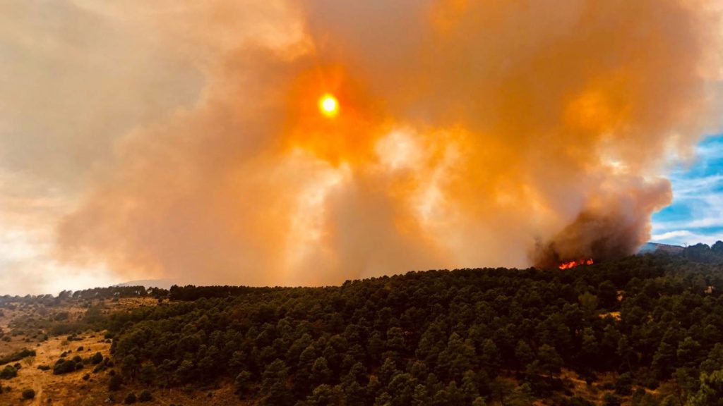 Créditos a su autor. El propietario de esta imagen es el titular de sus derechos.