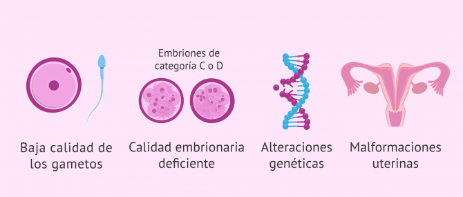 Créditos a su autor. El propietario de esta imagen es el titular de sus derechos.