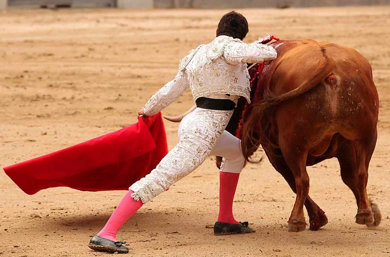 Créditos a su autor. El propietario de esta imagen es el titular de sus derechos.