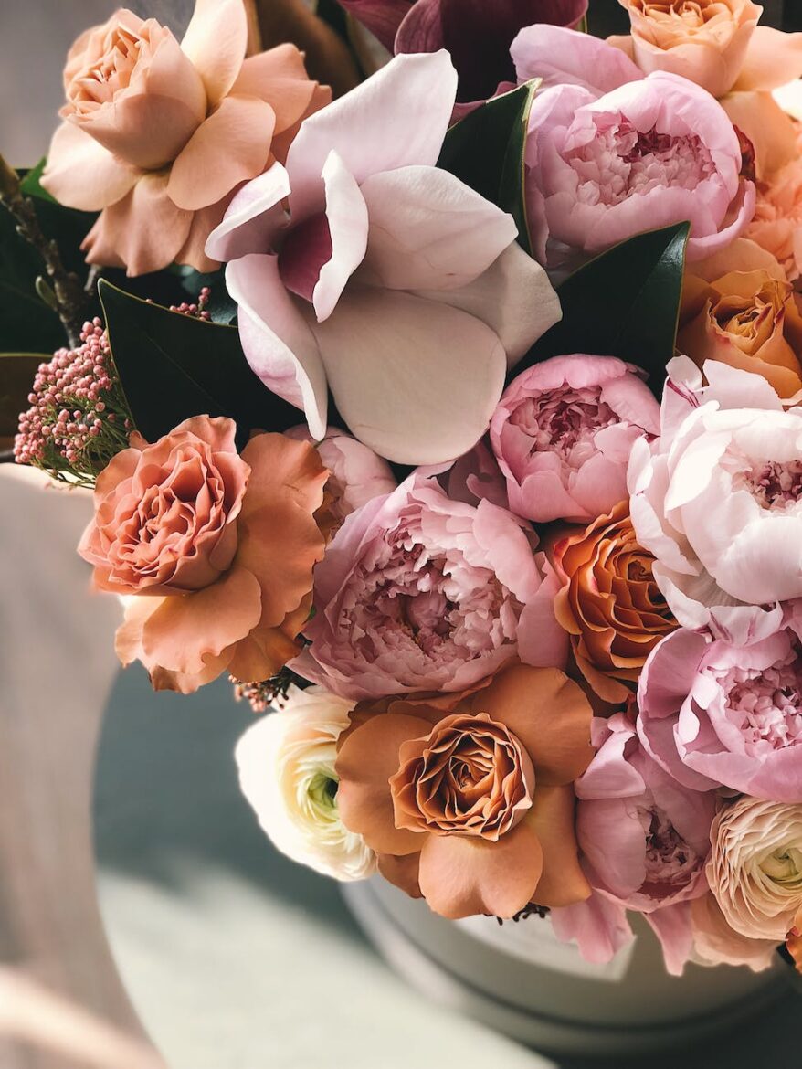 white brown and purple petaled flowers