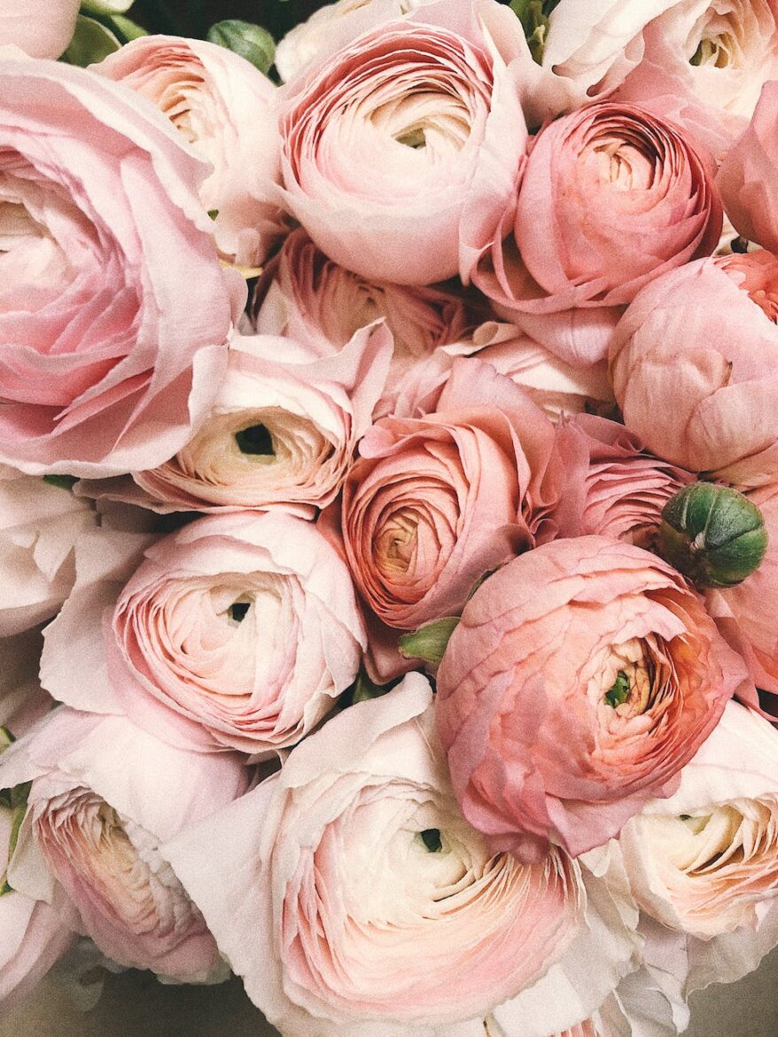 close up photograph of flowers