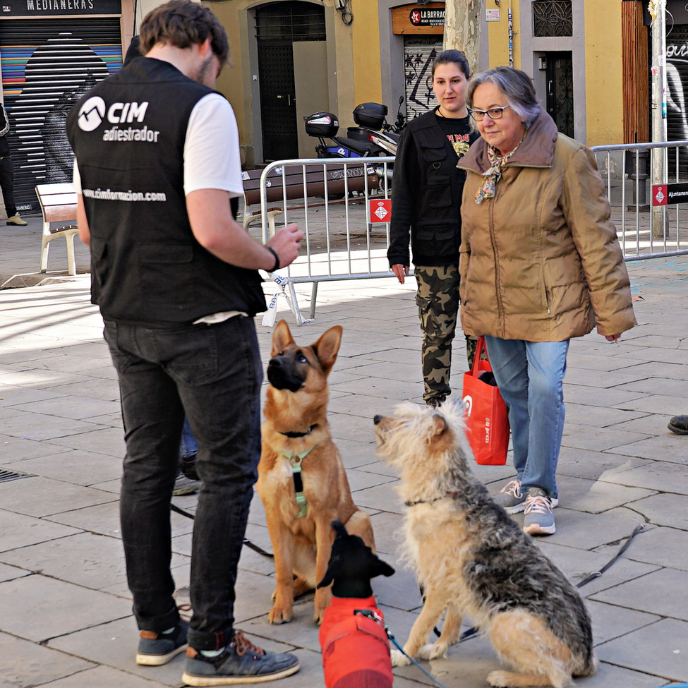 Créditos a su autor. El propietario de esta imagen es el titular de sus derechos.